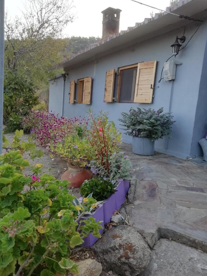 Villa Myrovolos Armenistis  Exterior foto